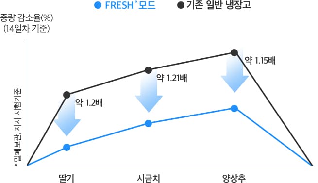 그래프